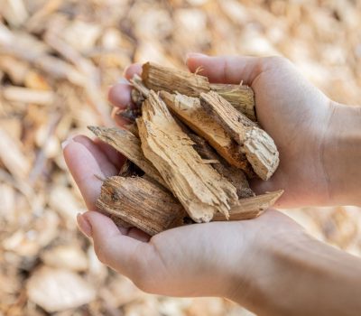 Home-cover-02-NAŠI-ENERGENTI-scaled